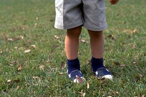 おもいでフォトハウスの特徴とは